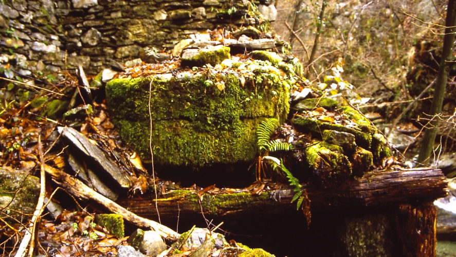 Aurano_Mulino-di-Pinet3