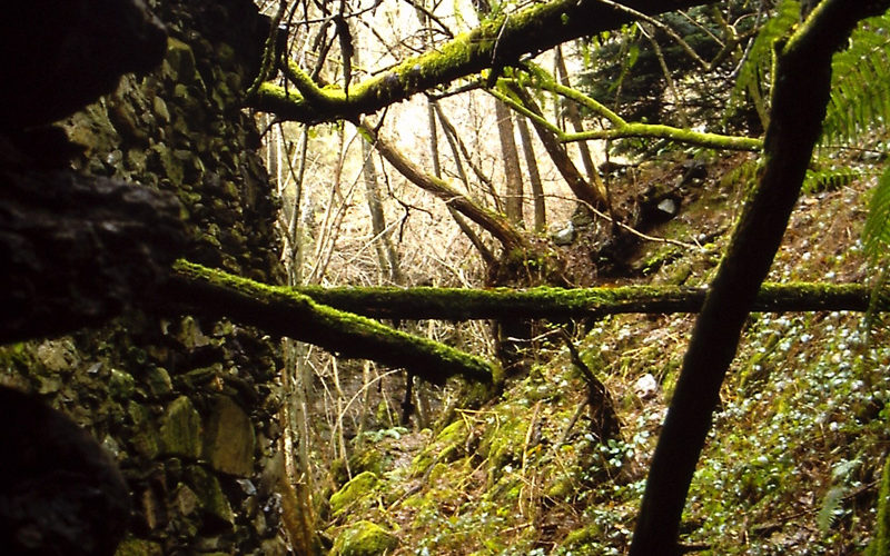 Aurano_Mulino-di-Trabacule4