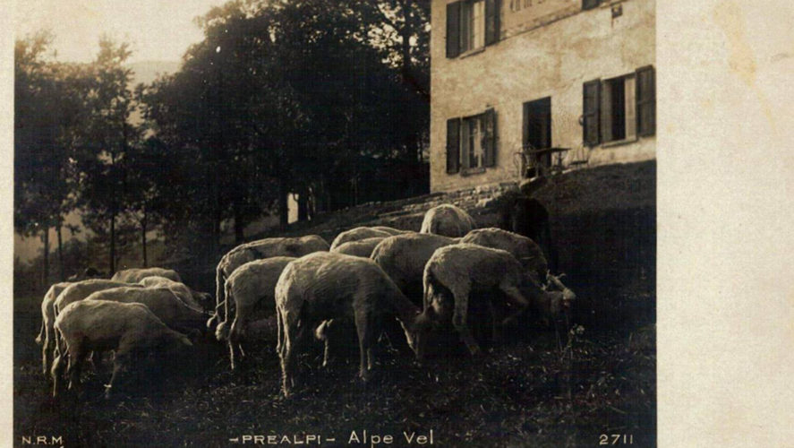Caprezzo_Ad-Vel6