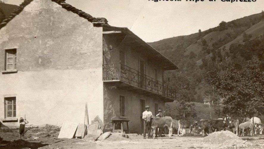 Caprezzo_Agricola-1923