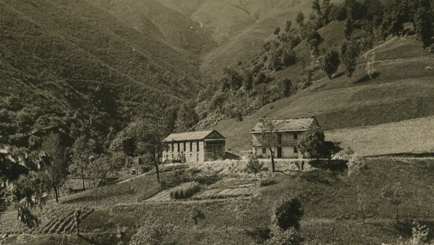 Caprezzo_Agricola