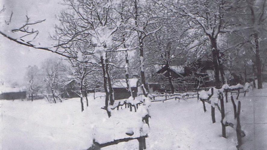Miazzina_Neve