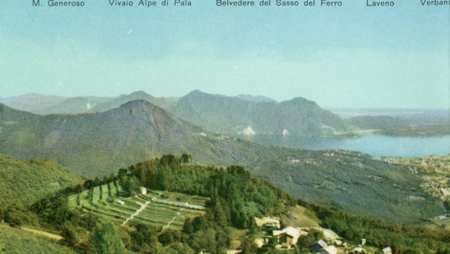 Miazzina_Vivaio2
