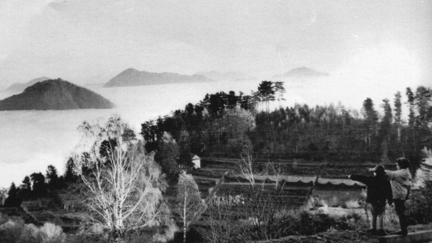 Miazzina_Vivaio3