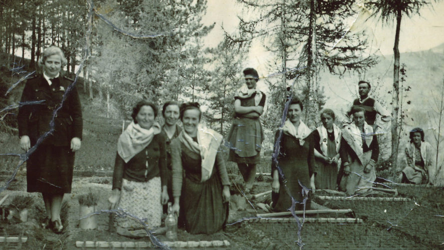 Miazzina_vivaio-anni-60