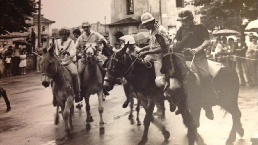 Palio-degli-Asini-2
