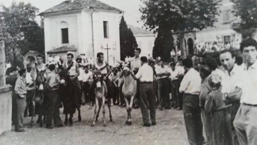 Palio-degli-Asini-3