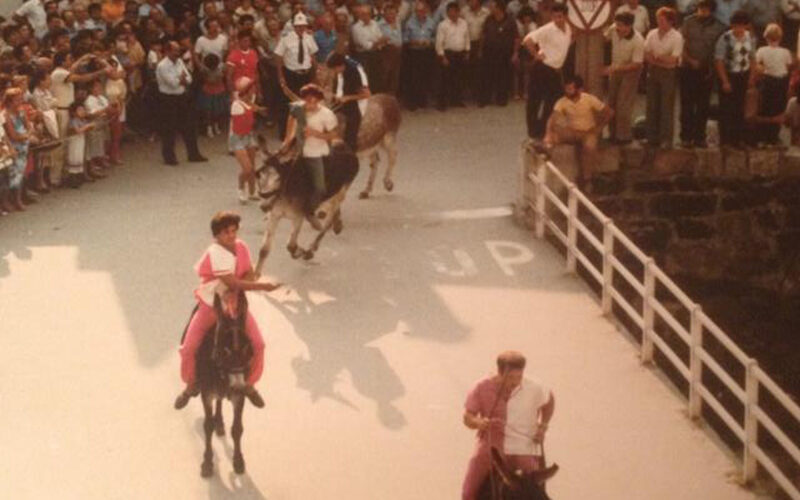 Palio-degli-Asini-5