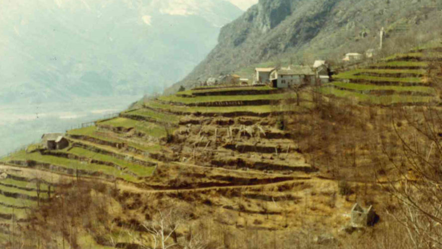 Premosello_Strada-dei-mulini-1969