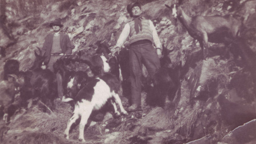 Trontano_Alpe (3)