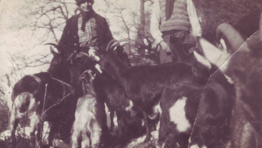 Trontano_Alpe-Pozzolo-1940