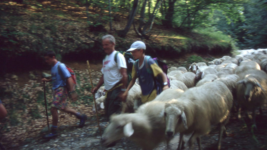 Trontano_transumanza-1995 (4)