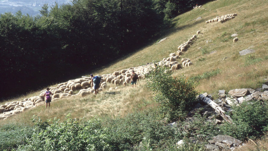 Trontano_transumanza-1995 (6)
