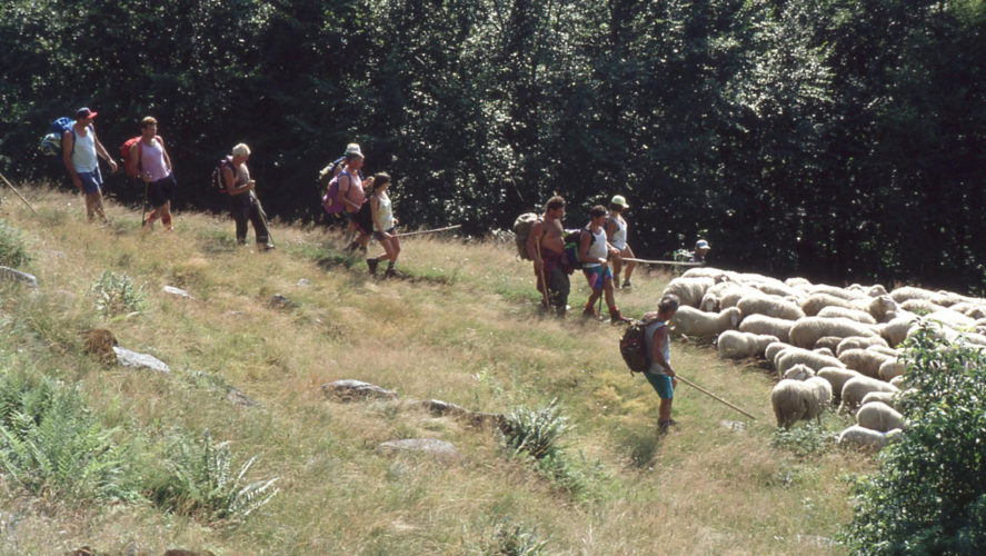 Trontano_transumanza-1995 (8)