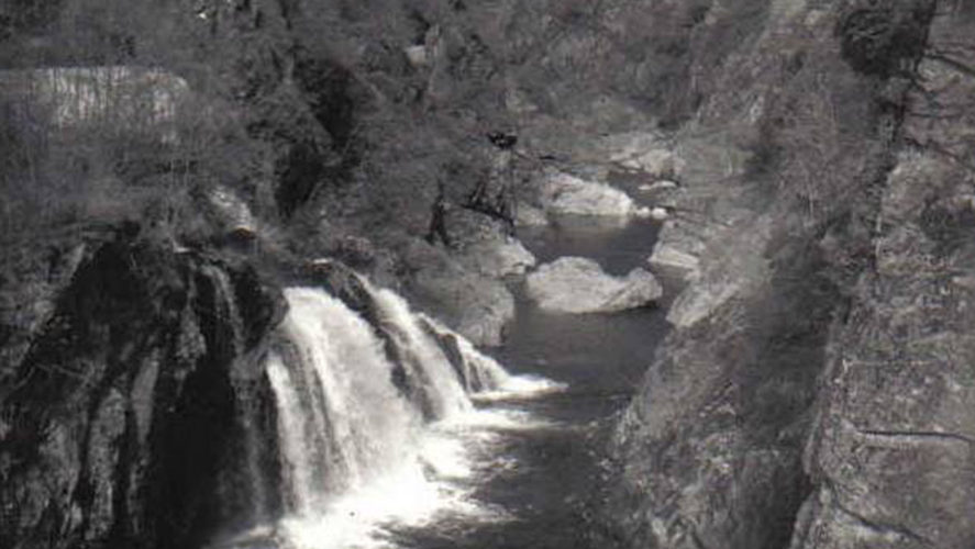 Bieno_Orrido-1965