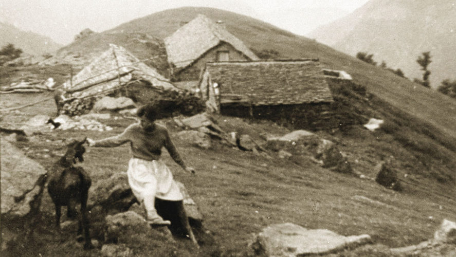 Cossogno_Busarasca