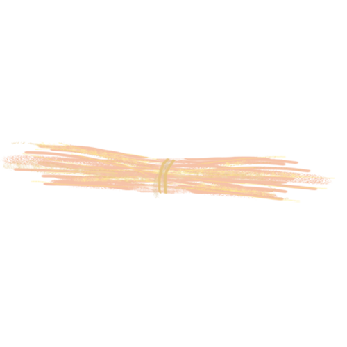 Cossogno_Canapa