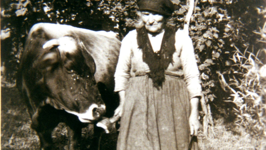Cossogno_Contadina
