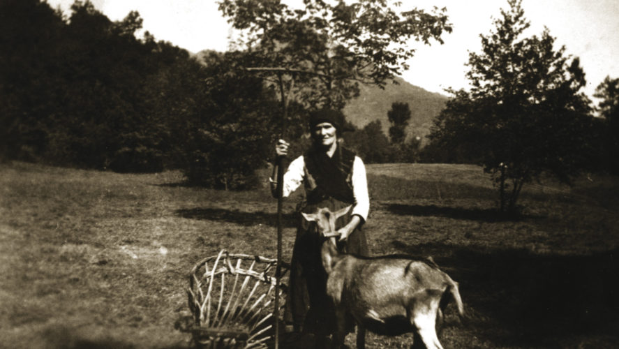 Cossogno_Savia-1940
