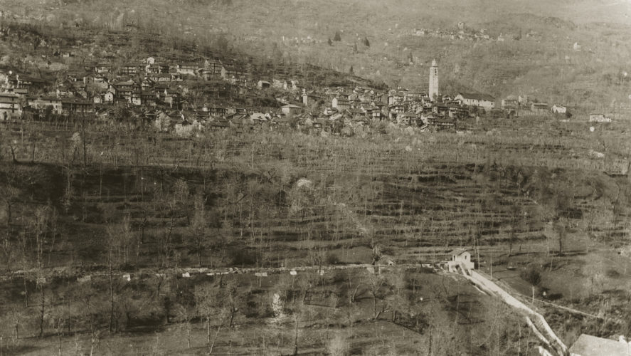 Cossogno_panorama2