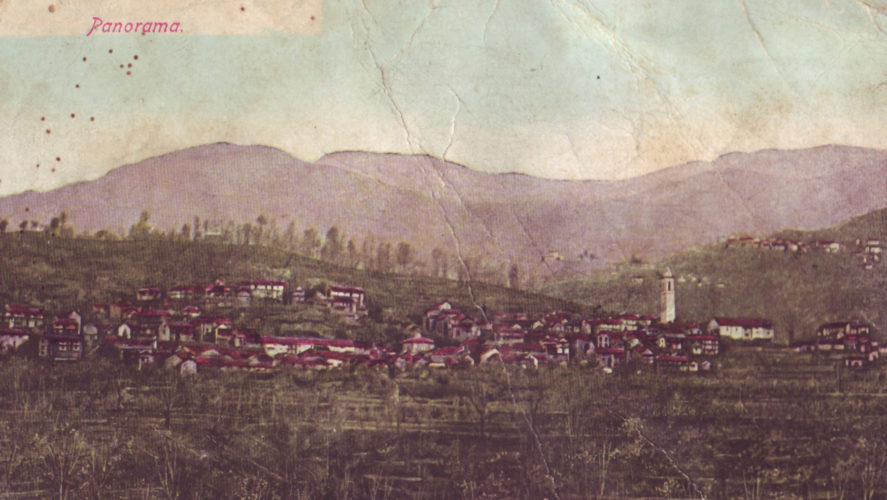 Cossogno_panorama3