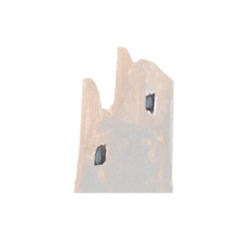 Vogogna_Rocca