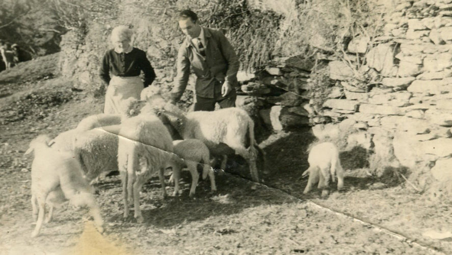 Cicogna_1959