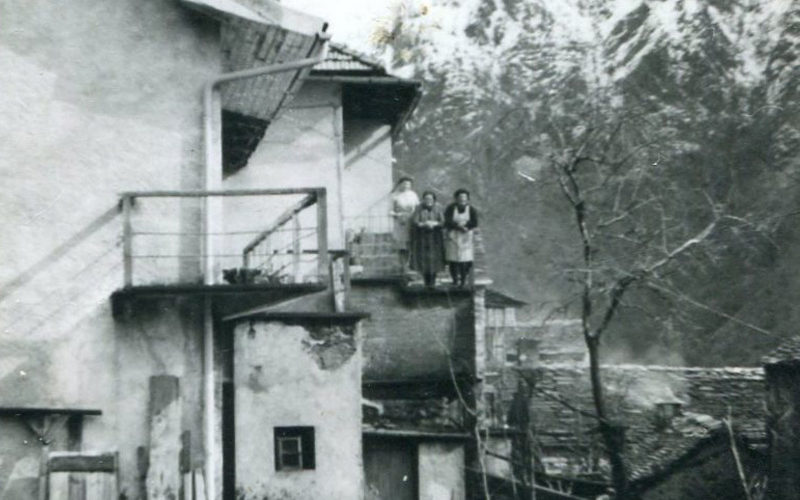 Cicogna_abitanti4