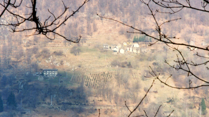 Cicogna_corte-merina-1998