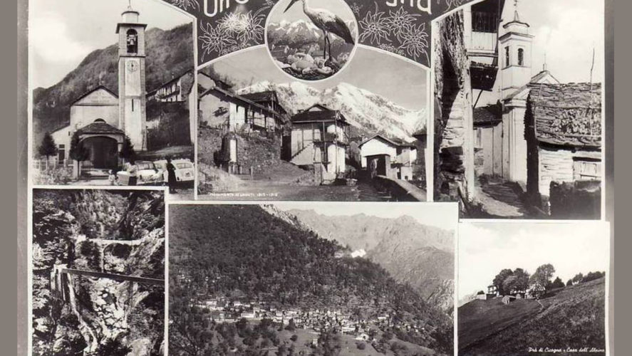Cossogno_Cicogna