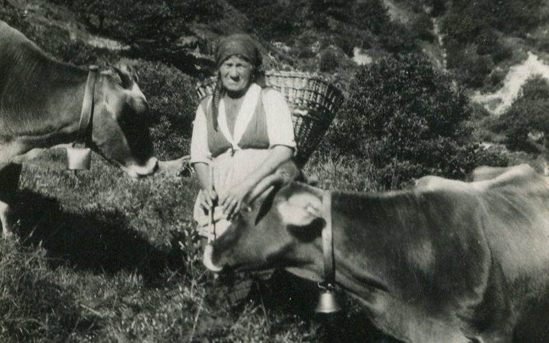 Intragna_donna-con-vacche-1931