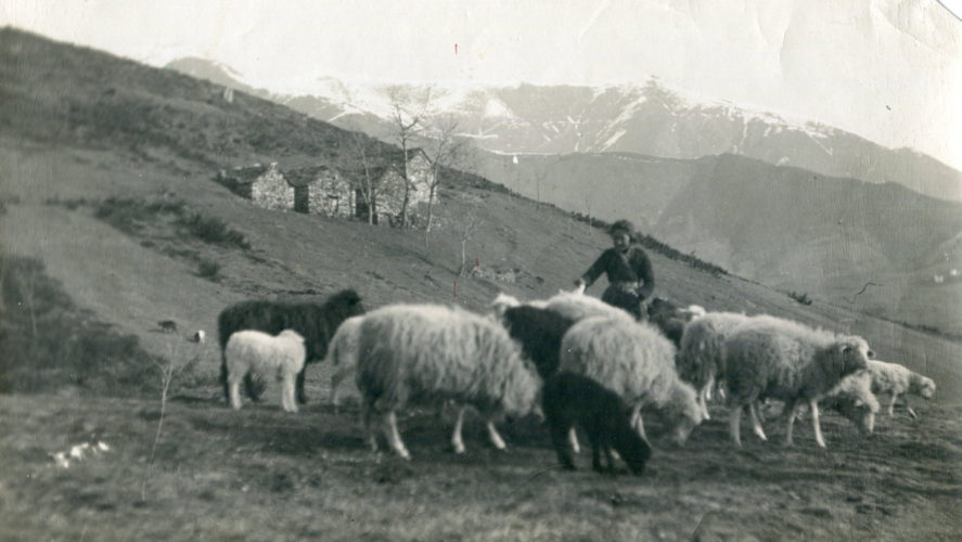 Miazzina_Colletta