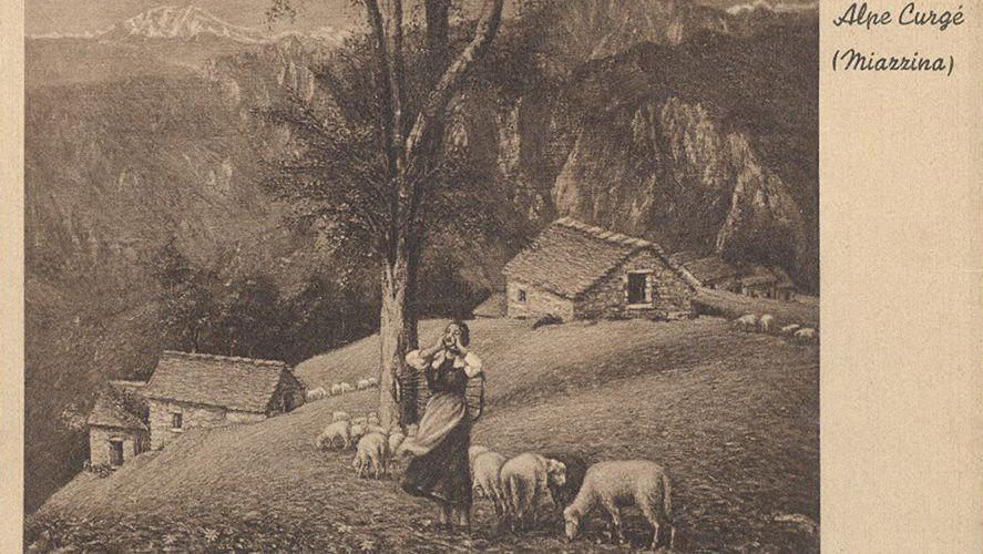 Miazzina_Curgei