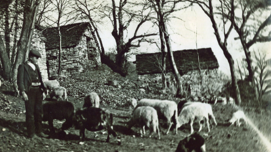 Miazzina_pastore